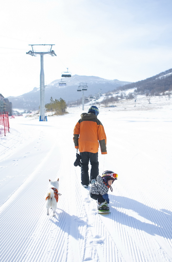 11月18日，萌宝王予玑在爸爸和宠物狗“旺仔”的陪伴下滑雪。新华社记者 张帆 摄