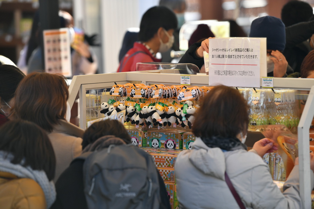 1月12日，游客在日本东京上野动物园参观大熊猫后选购大熊猫纪念品。新华社记者 张笑宇 摄