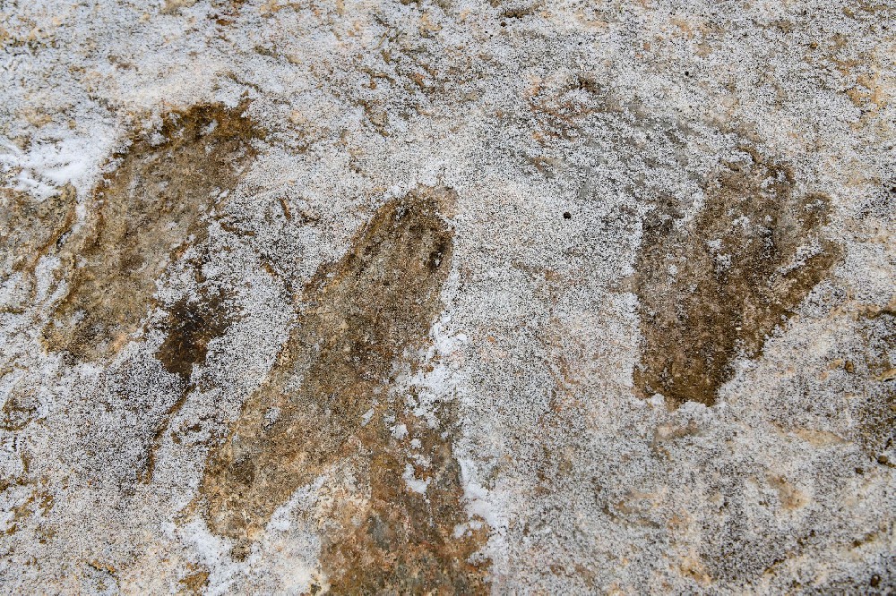 1月19日拍摄的西藏拉萨市堆龙德庆区德庆乡邱桑村邱桑温泉石灰岩上的“古人类手脚印”。 