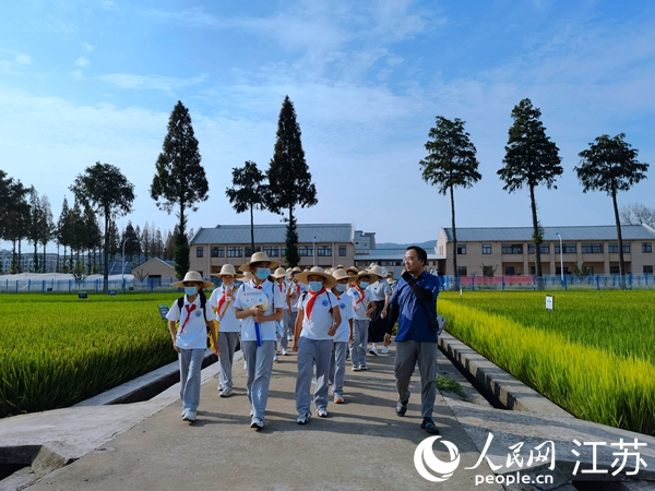 南京市孝陵卫初级中学小学部的同学们在江苏省农业科学院水稻实验基地开展课后服务活动。人民网 马晓波摄